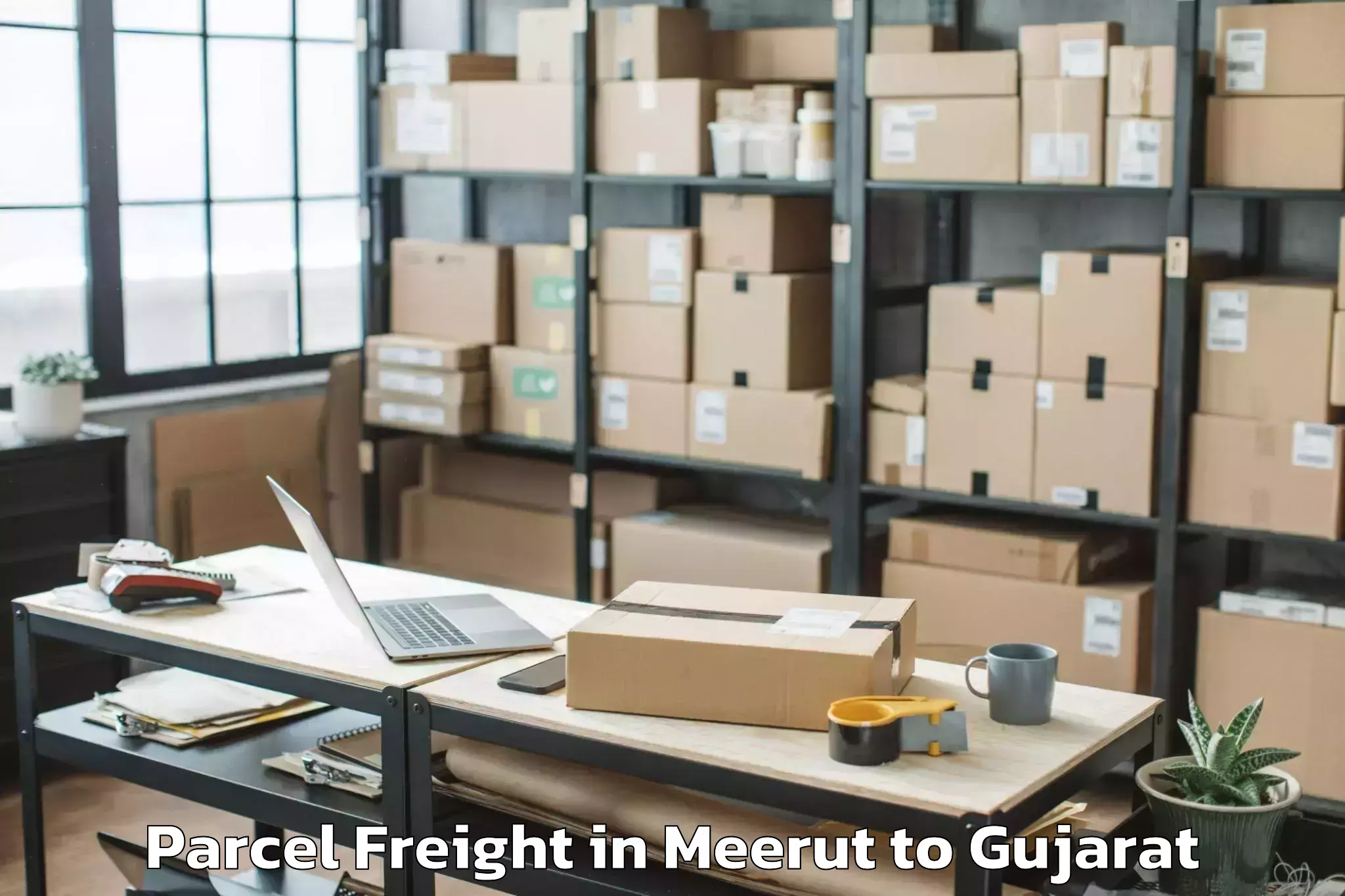 Quality Meerut to Botad Parcel Freight